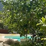 Sa Murta Bianca Budoni
