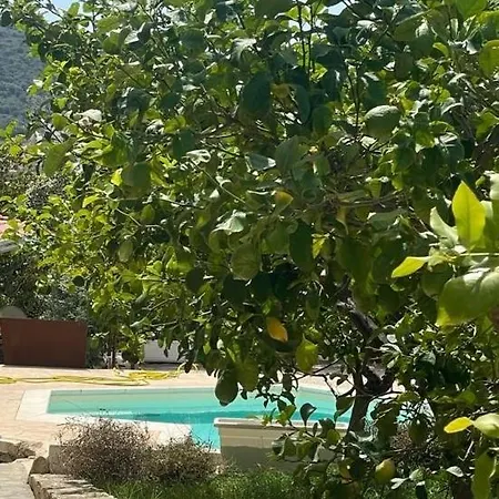 Sa Murta Bianca Budoni